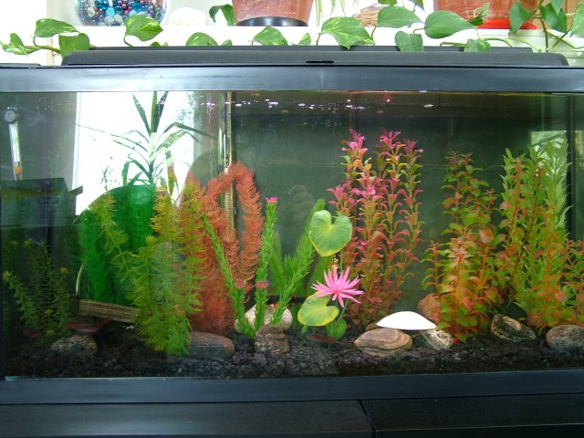 DSCF2121.JPG