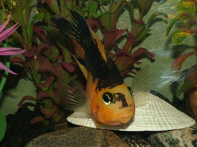 DSCF2143.JPG