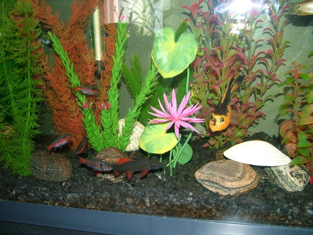 DSCF2134.JPG