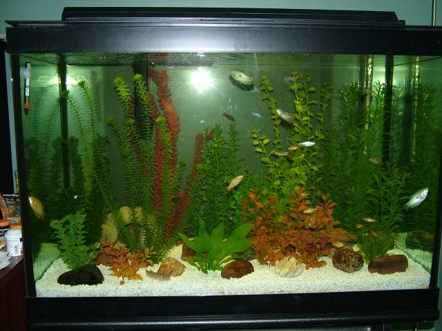 DSCF2156.JPG
