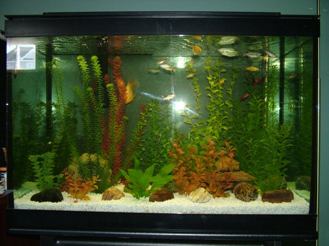 DSCF2145.JPG