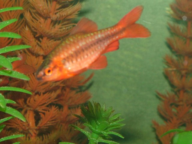 DSCF2151.JPG