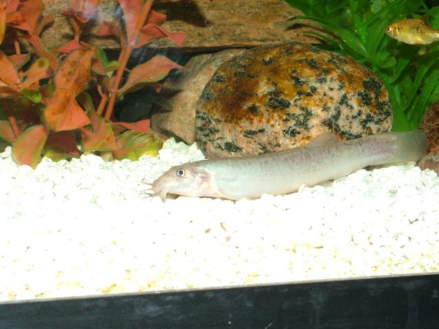 DSCF2163.JPG