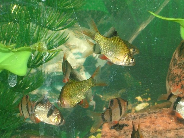 DSCF2180.JPG