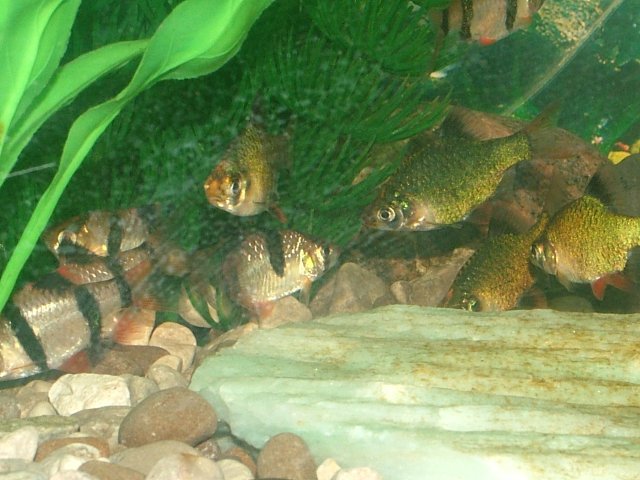 DSCF2182.JPG