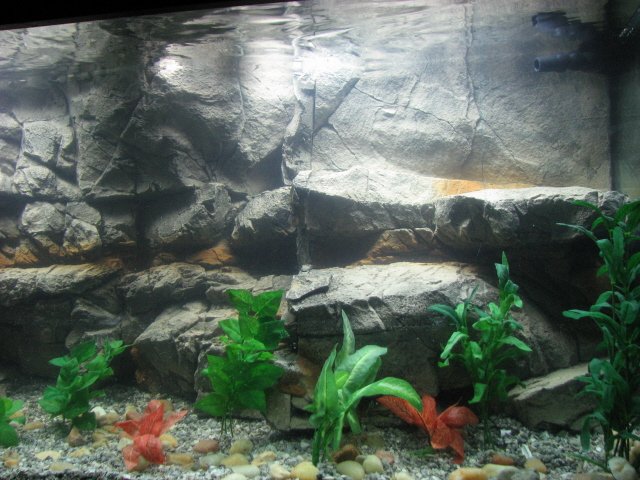 IMG_2435a.jpg IMG_2435a.jpg