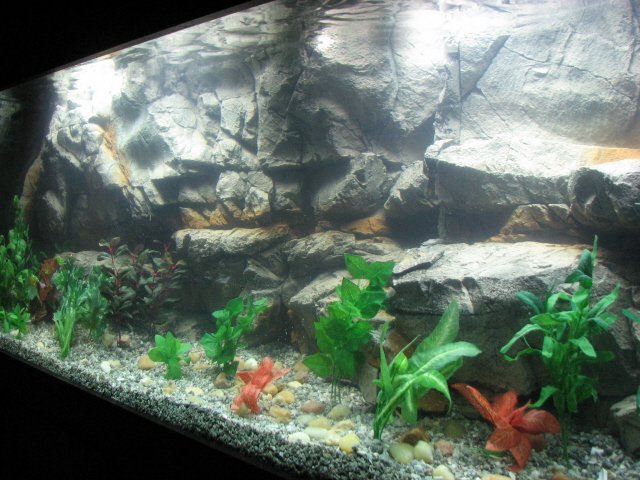IMG_2439a.jpg IMG_2439a.jpg