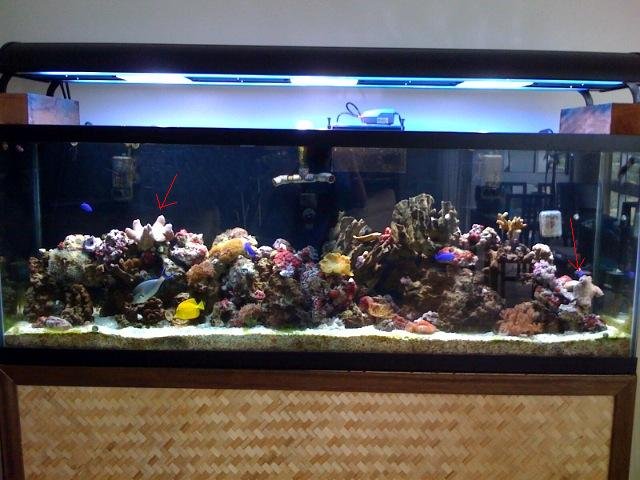 photo2.jpg
