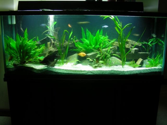 2-23-2008.JPG 2-23-2008.JPG