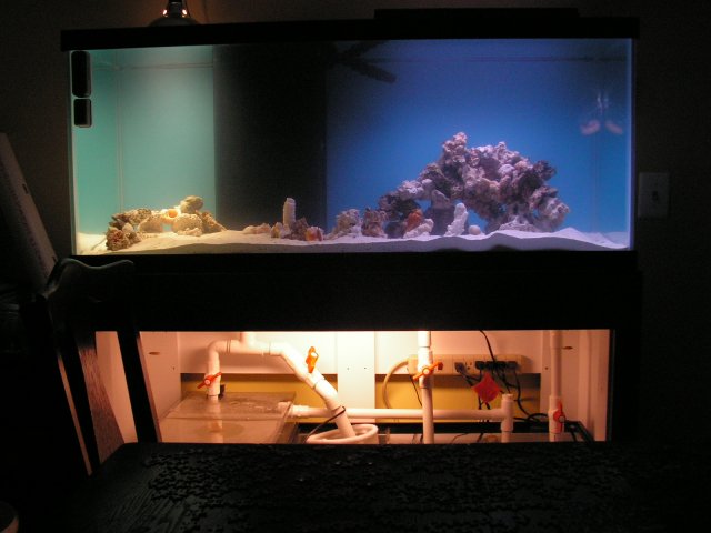 Live Rock and Live sand 030.jpg
