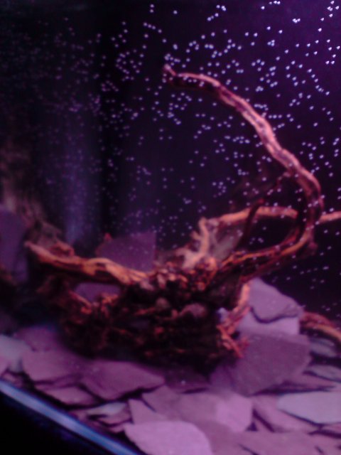 P010308_01.40.JPG