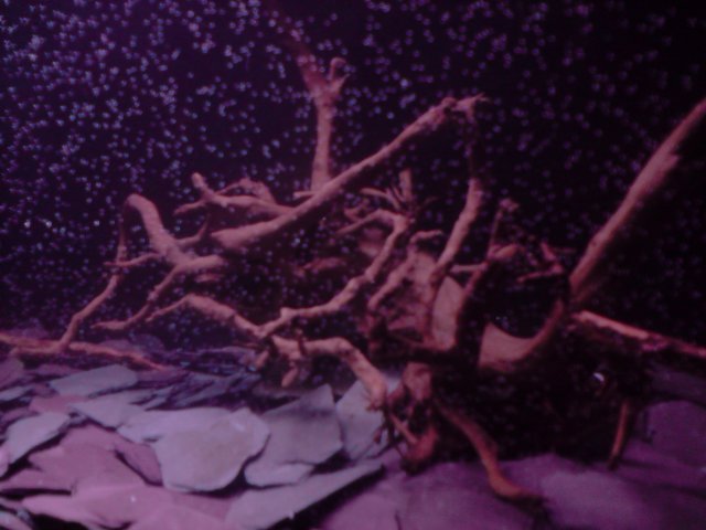 P010308_01.41.JPG