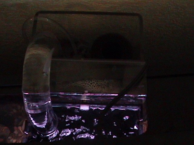 DSC00469.JPG
