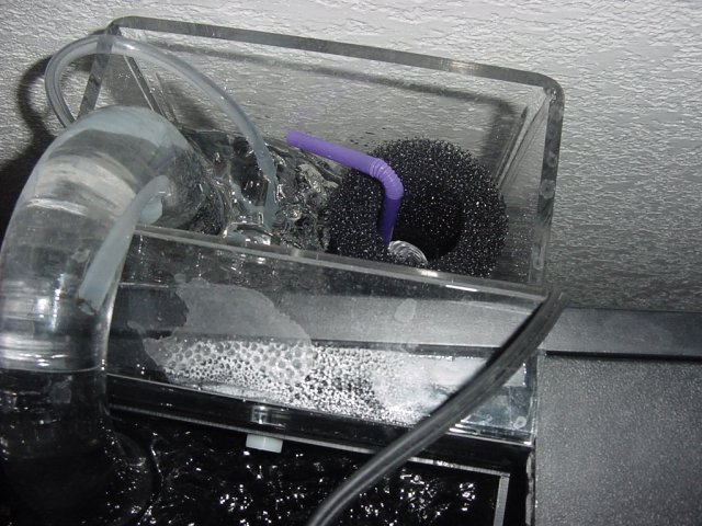 DSC02295.JPG