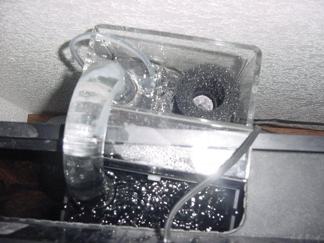 DSC02296.JPG