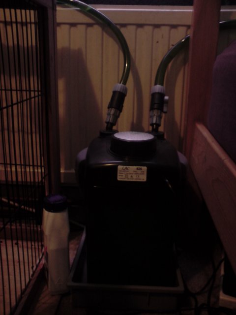 P020308_15.23[01].JPG