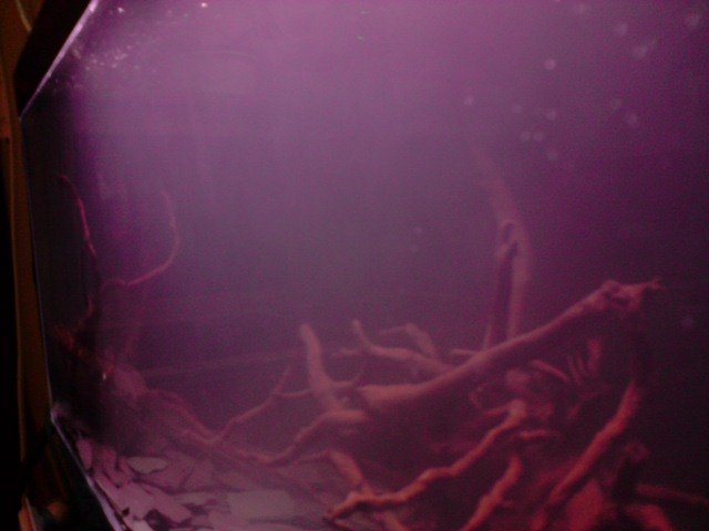 P020308_15.31[01].JPG
