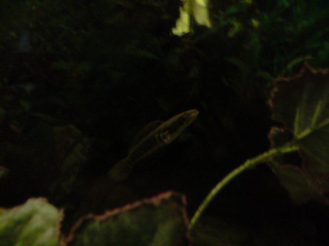 P020308_15.52[01].JPG