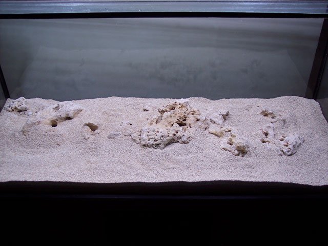 Sand-and-Base-Rock.jpg