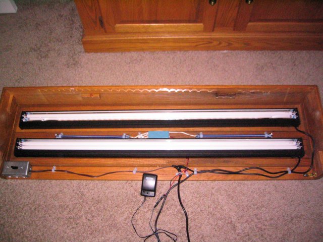 184_8474.JPG 184_8474.JPG
