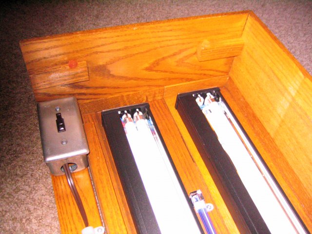 184_8491.JPG 184_8491.JPG