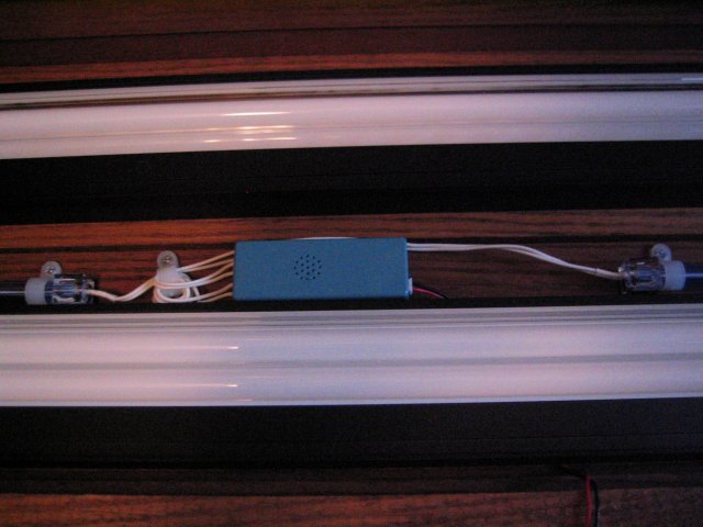 184_8499.JPG 184_8499.JPG