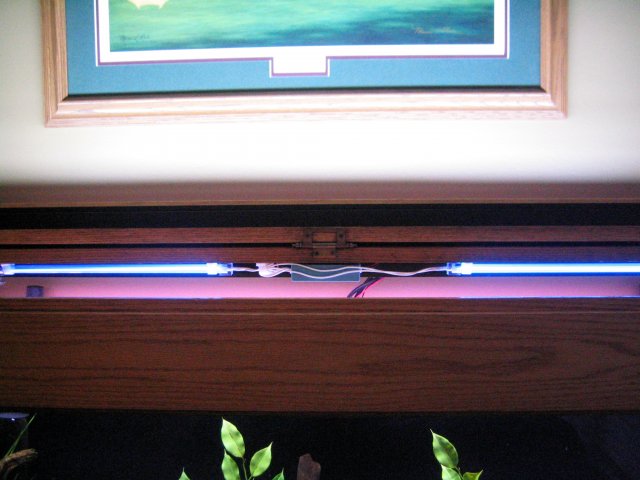 185_8501.JPG 185_8501.JPG