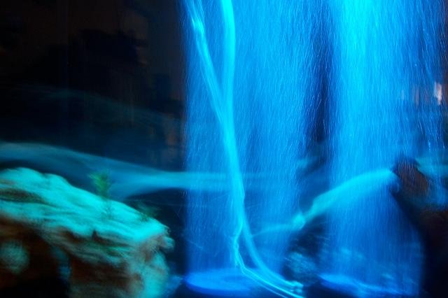 100_5476.JPG