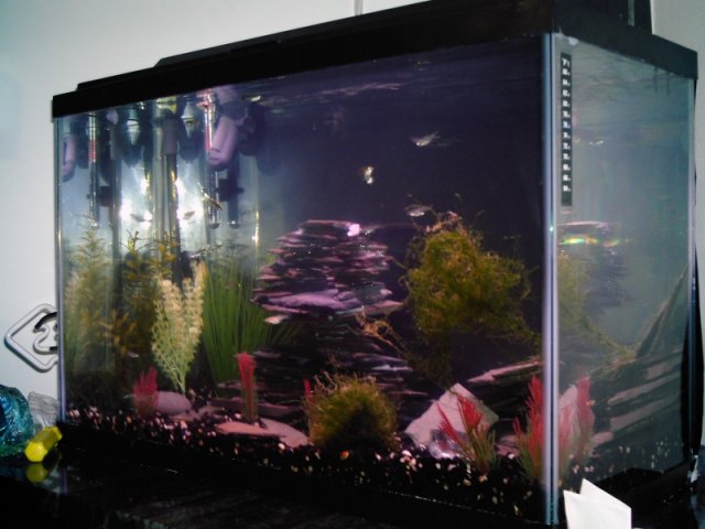 slate tank.jpg slate tank.jpg