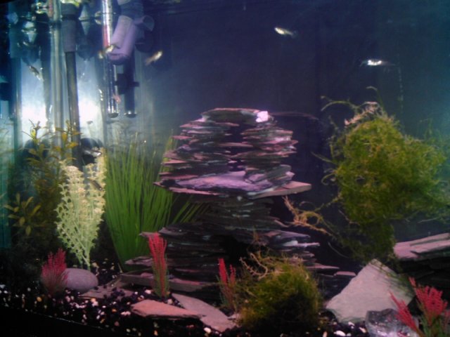 slate tank2.jpg slate tank2.jpg