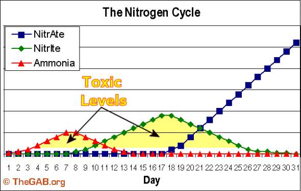 WaterQualityCyclingNitrogenCycle.gif