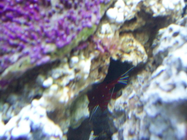 100_0212.JPG