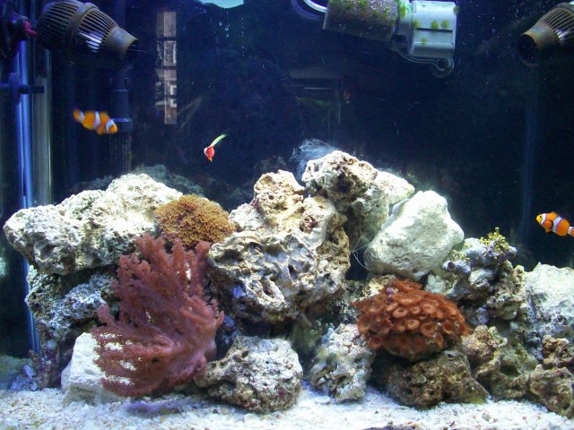 100_0217.JPG