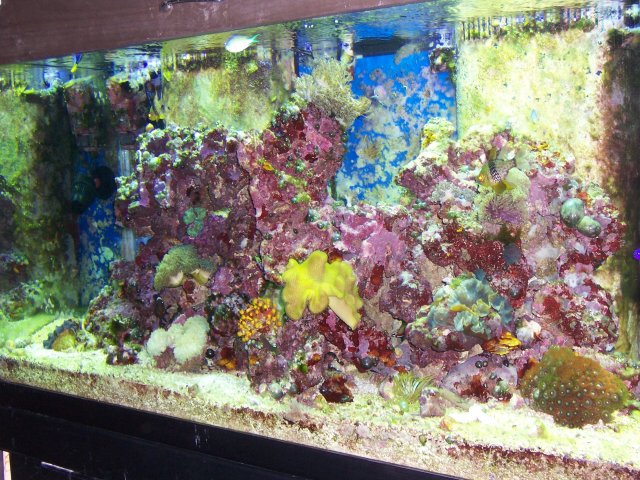 030208_2 004.JPG
