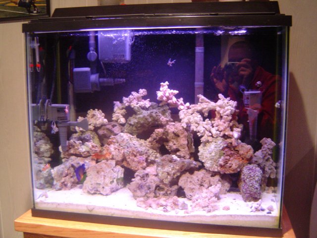 DSC01395.JPG