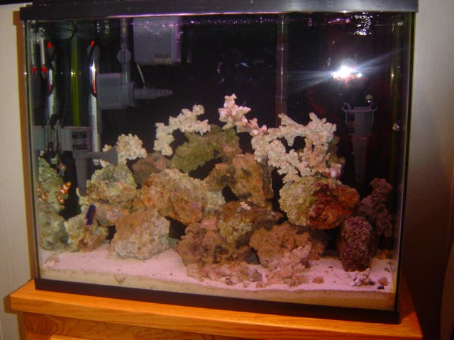 DSC01396.JPG