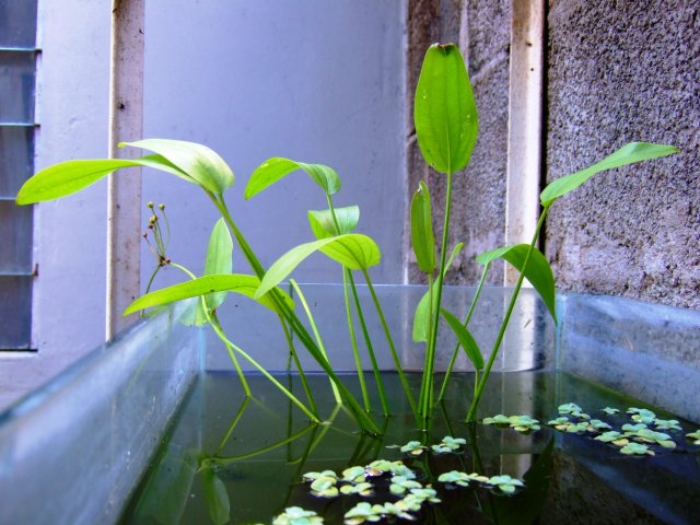 DSCF0603.jpg