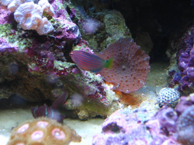 IMG_1606.JPG