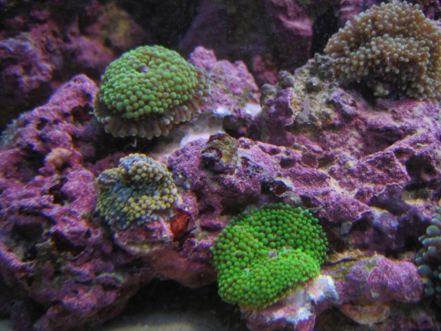 IMG_1691.JPG