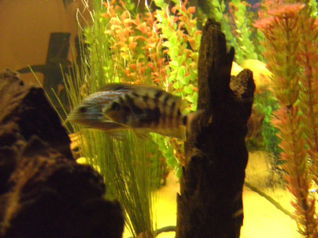 BILD0746.jpg BILD0746.jpg