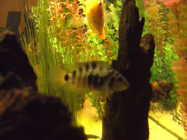 BILD0748.jpg BILD0748.jpg