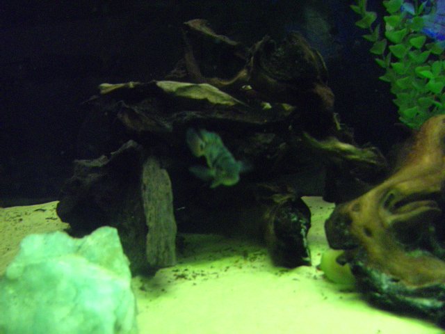 BILD0774.jpg BILD0774.jpg