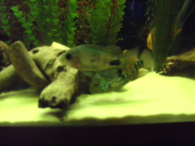 BILD0773.jpg BILD0773.jpg