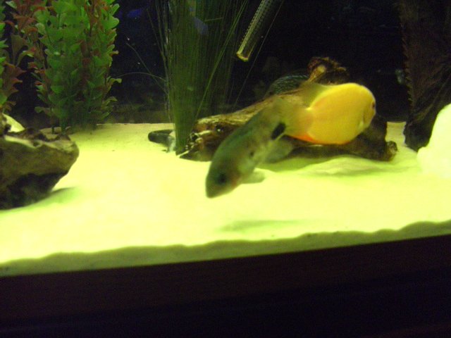 BILD0772.jpg BILD0772.jpg