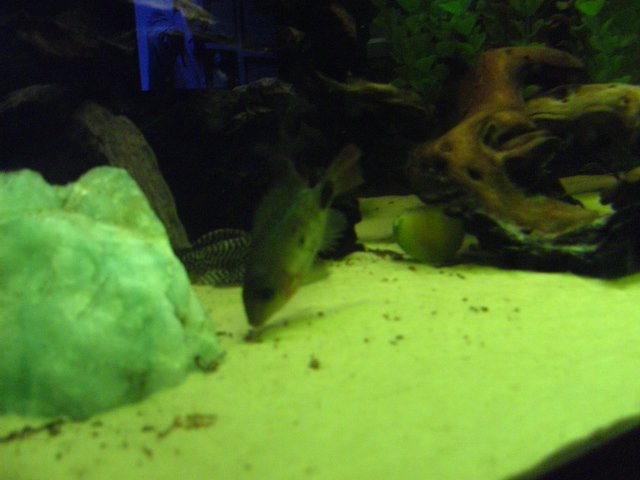 BILD0770.jpg BILD0770.jpg