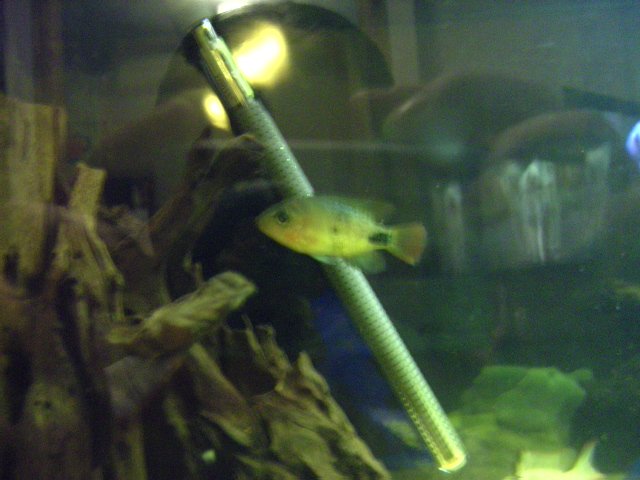 BILD0759.jpg BILD0759.jpg