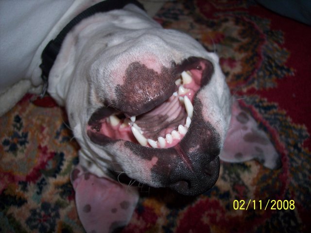 000_6240.JPG