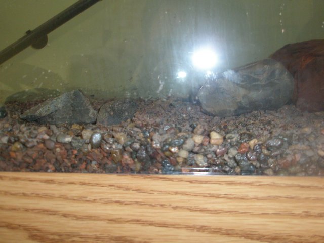 march 11th 004.jpg march 11th 004.jpg