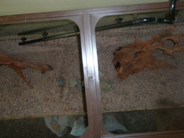 march 11th 005.jpg march 11th 005.jpg