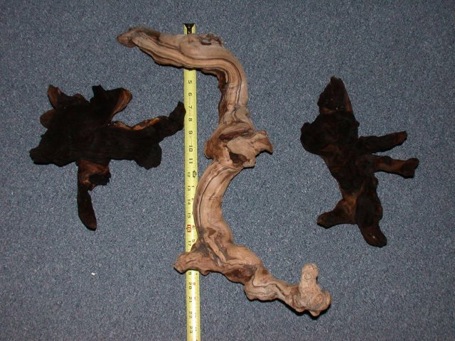DSCN6787.JPG